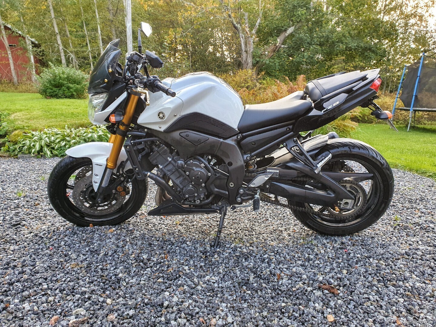 Yamaha FZ8-N