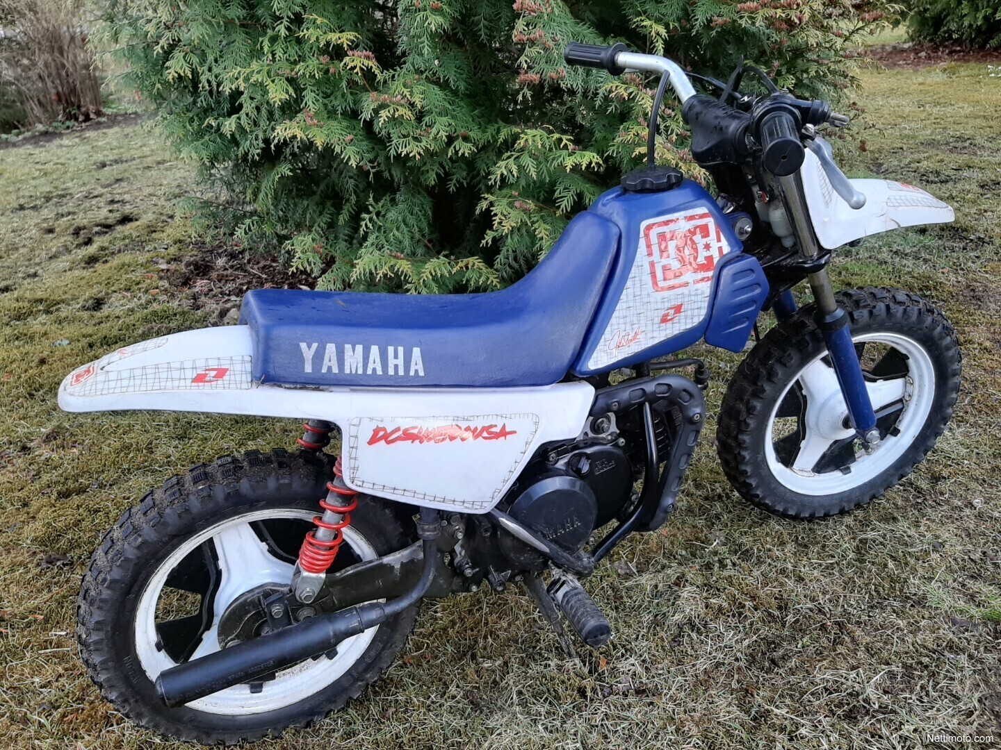 Yamaha PW