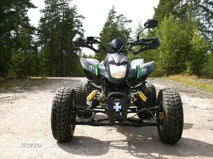 Bashan -