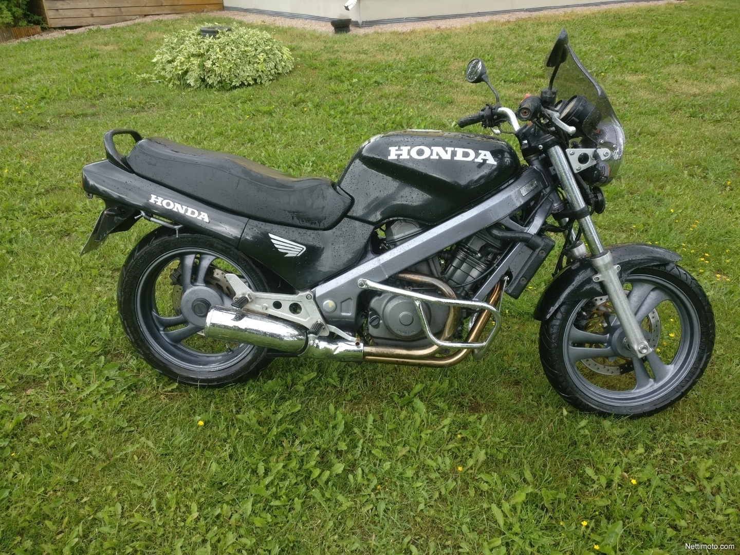 Honda NTV