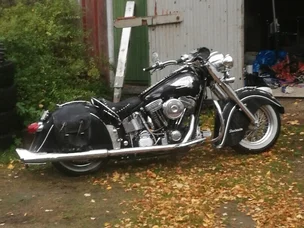 Indian Chief