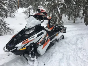 Polaris RMK
