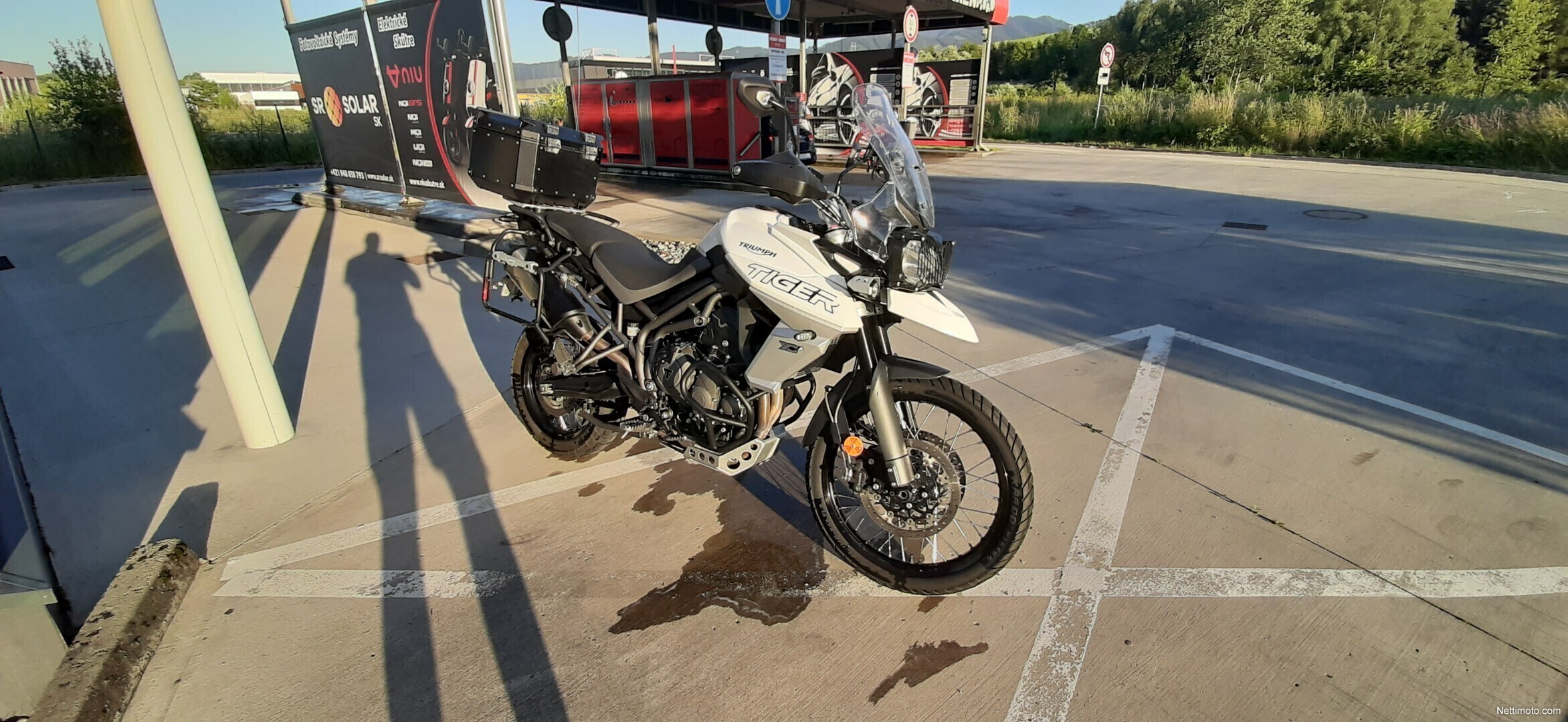 Triumph Tiger