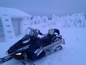 Polaris XLT