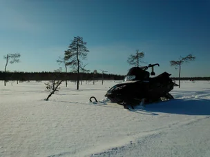 Arctic Cat ZR