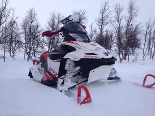 Lynx RS