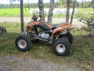Bashan BS300S