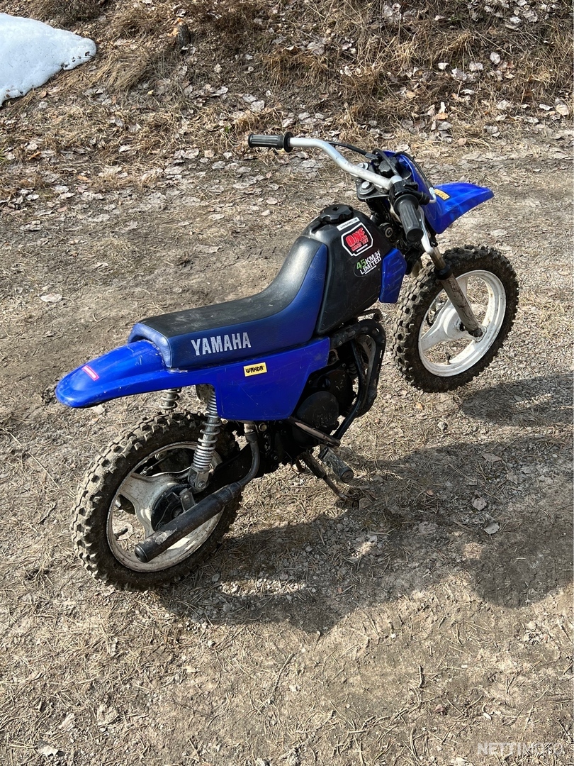 Yamaha PW