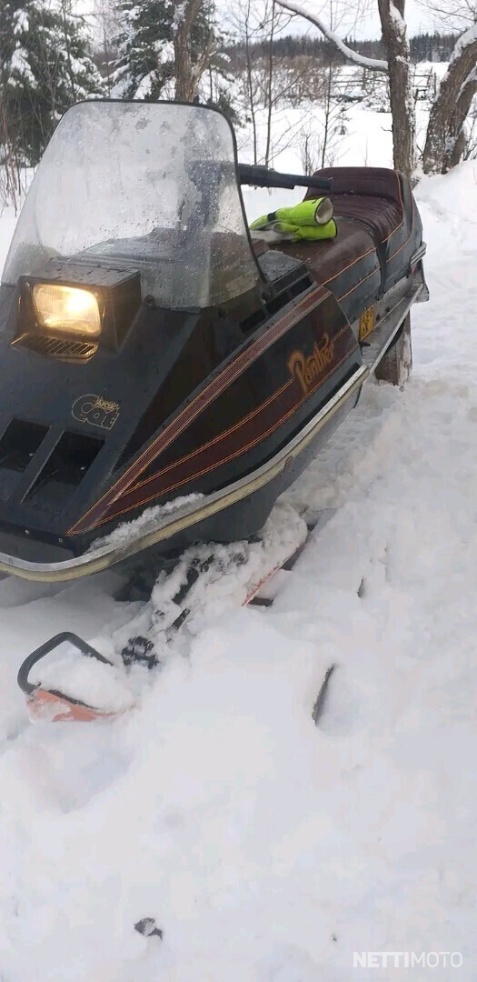 Arctic Cat Panther