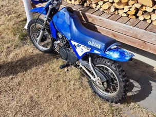 Yamaha PV