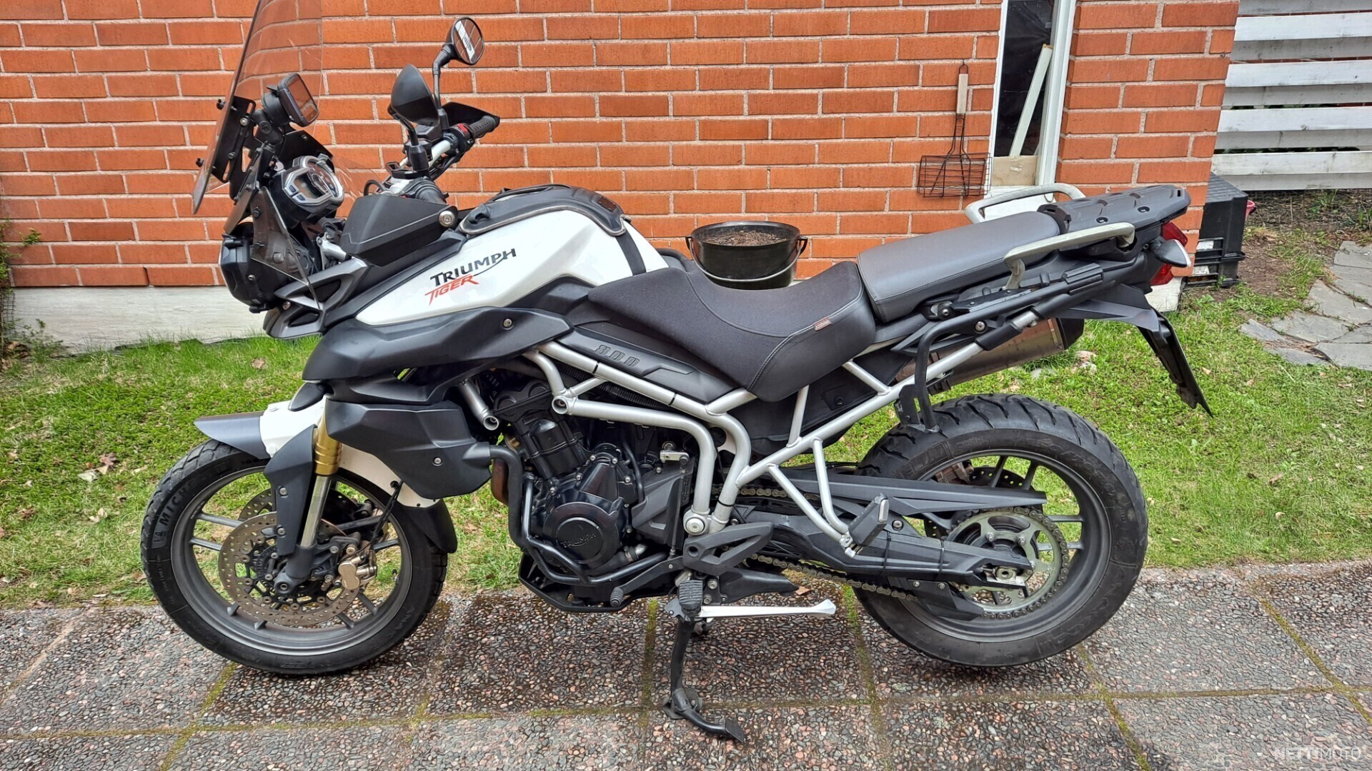 Triumph Tiger
