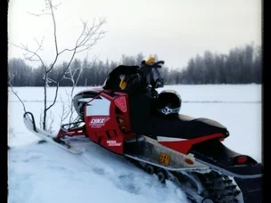 Lynx RE