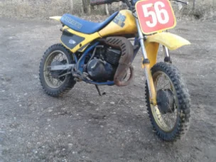 Suzuki DS