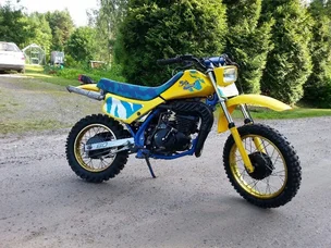 Suzuki DS