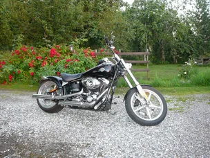 Harley-Davidson Softail