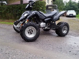 Bashan BS300S