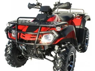 Comanche Bull